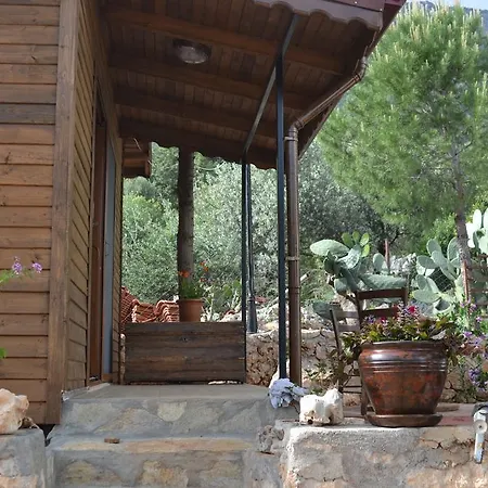 Woodhouse Zeynep * Gokceoren (Antalya)