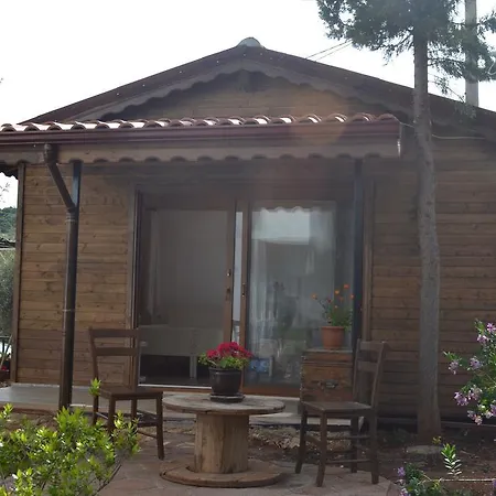 Woodhouse Zeynep *