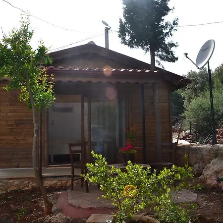 Woodhouse Zeynep *