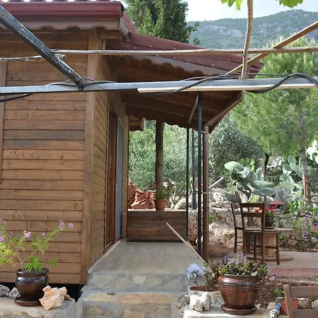Woodhouse Zeynep Gokceoren (Antalya)